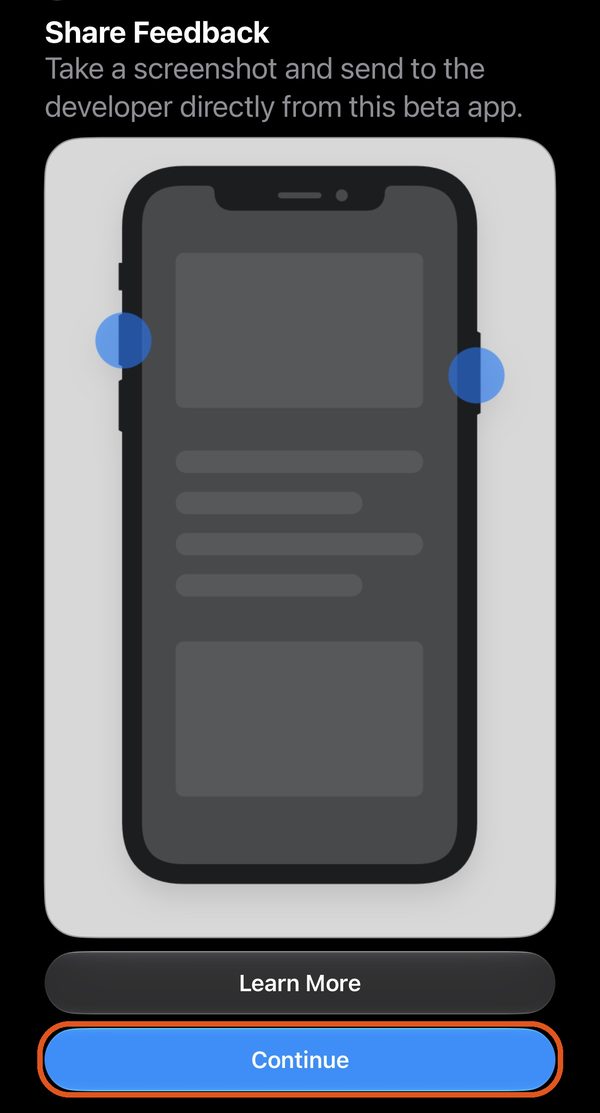A TestFlight screen titled Share Feedback, with a blue Continue button at the bottom.